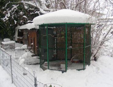 Schnee vor Voliere